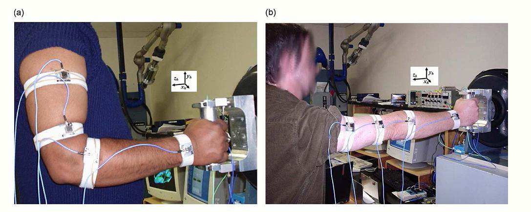 Glove Hand Arm System